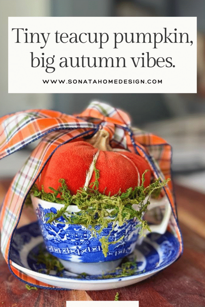 Tiny pumpkin in a teacup.