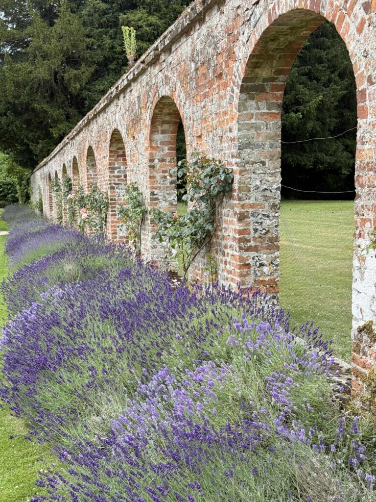 Lavender growing by an arched stone wall of arches.