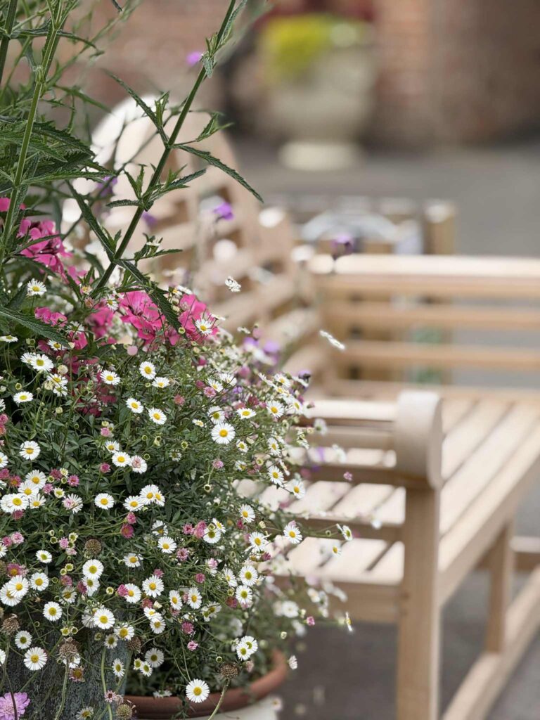 Flowers beside a garden bench.