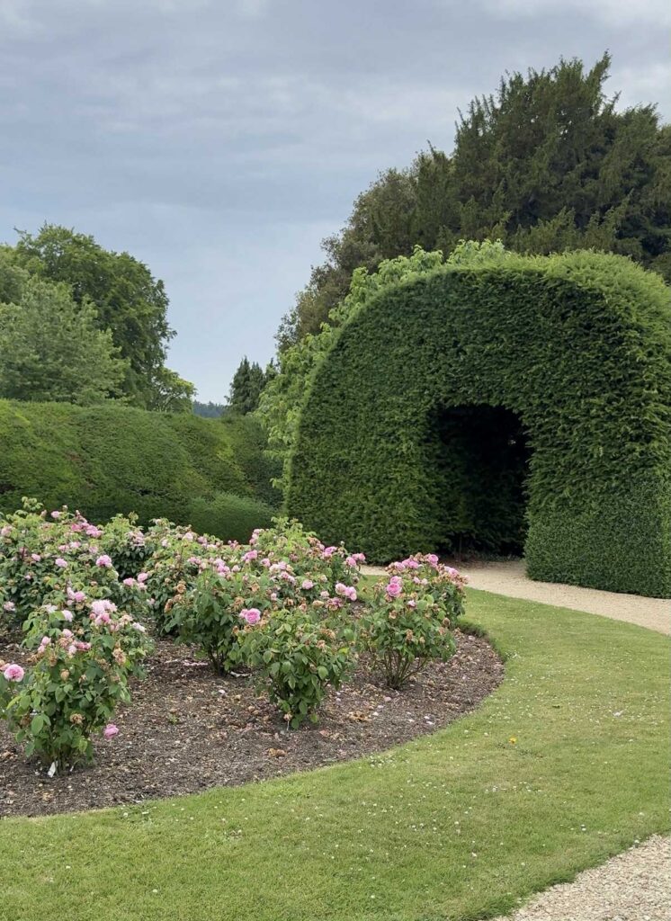 An arched hedge in the Highclere Castle garden.