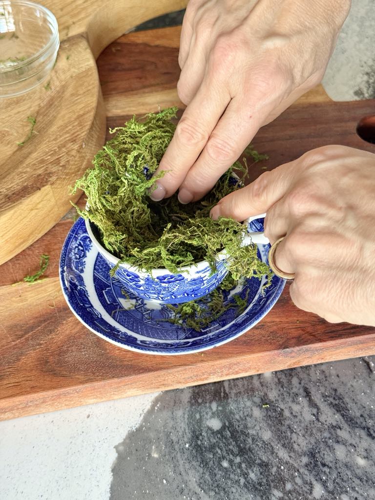 Lining a teacup with green moss.