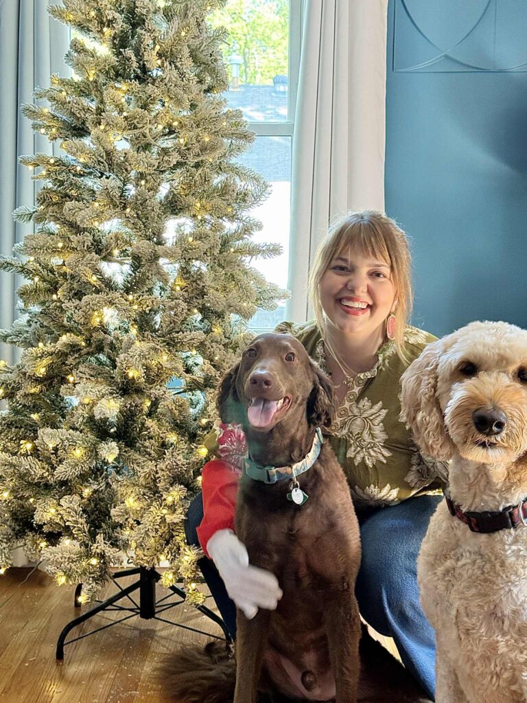 A woman and two dogs sitting in front of a flocked Christmas tree.