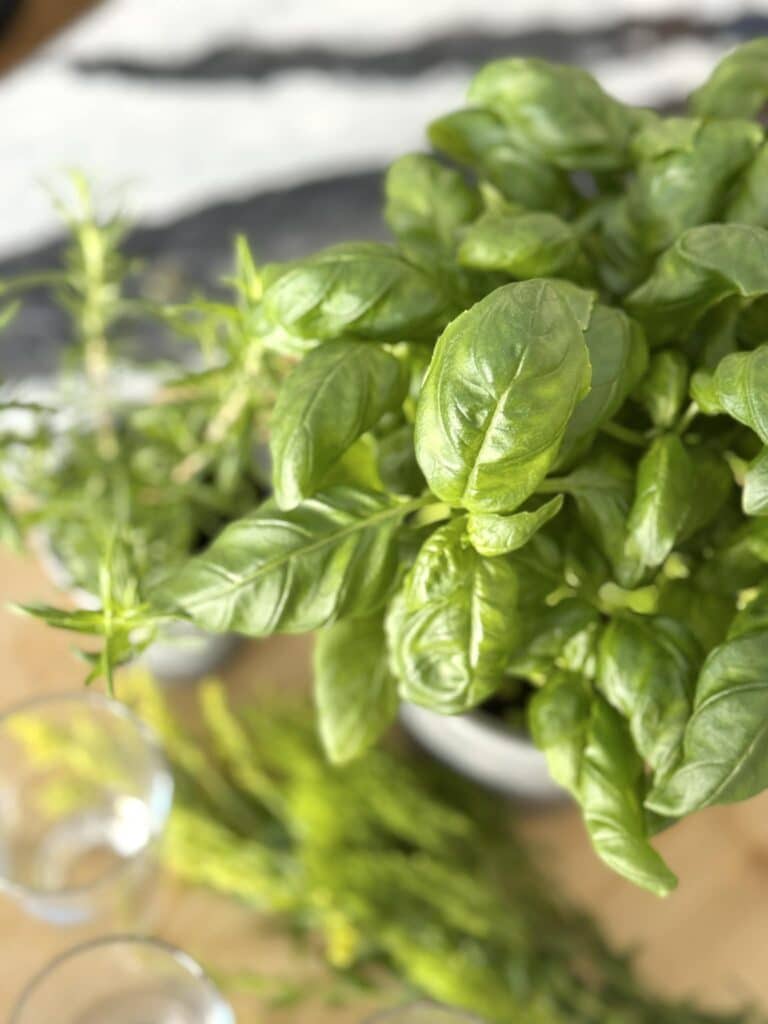 Fresh basil.