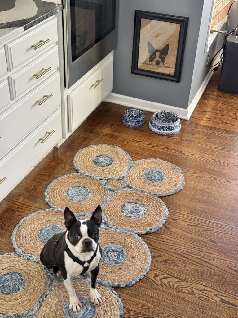A dog sitting beside his paper bag art self portrait.
