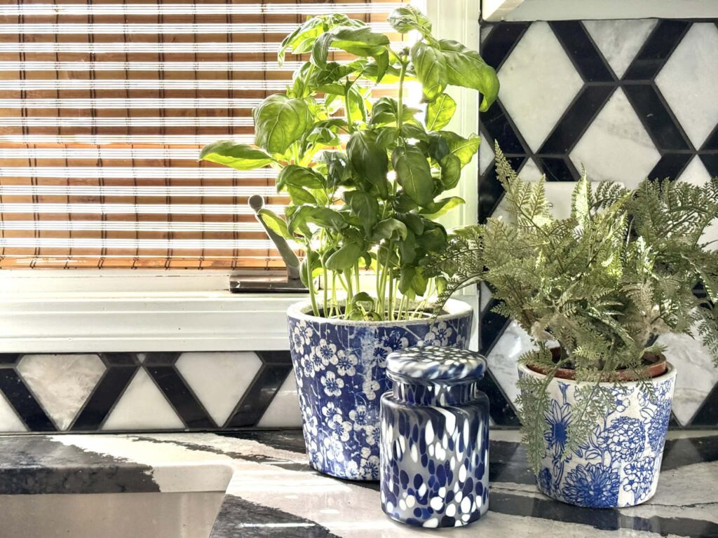 A pot of basil sitting beside a kitchen sink.