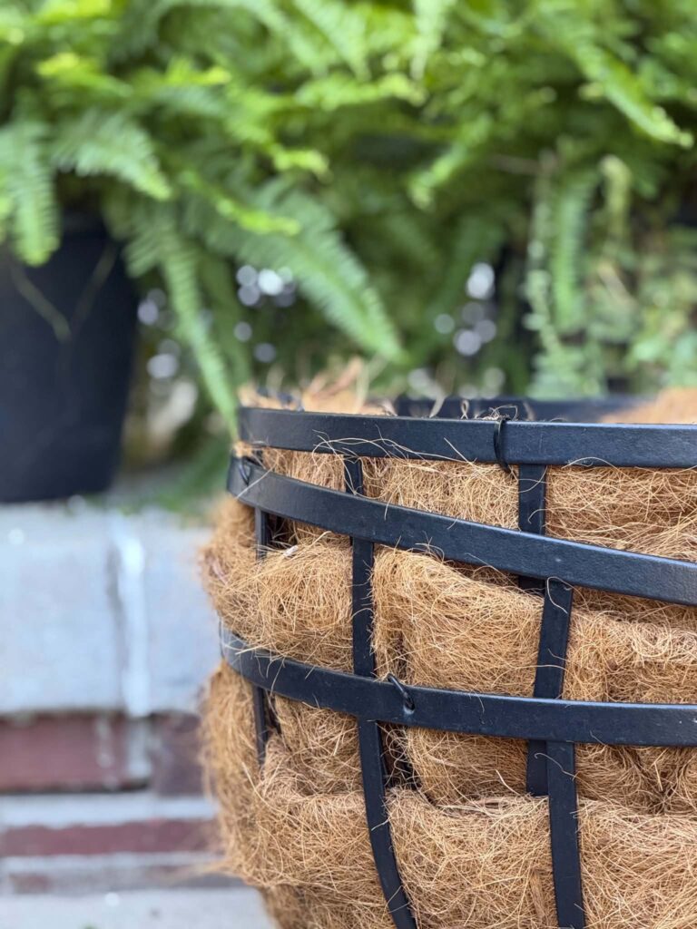 A stack of hanging baskets with pots of ferns behind them.