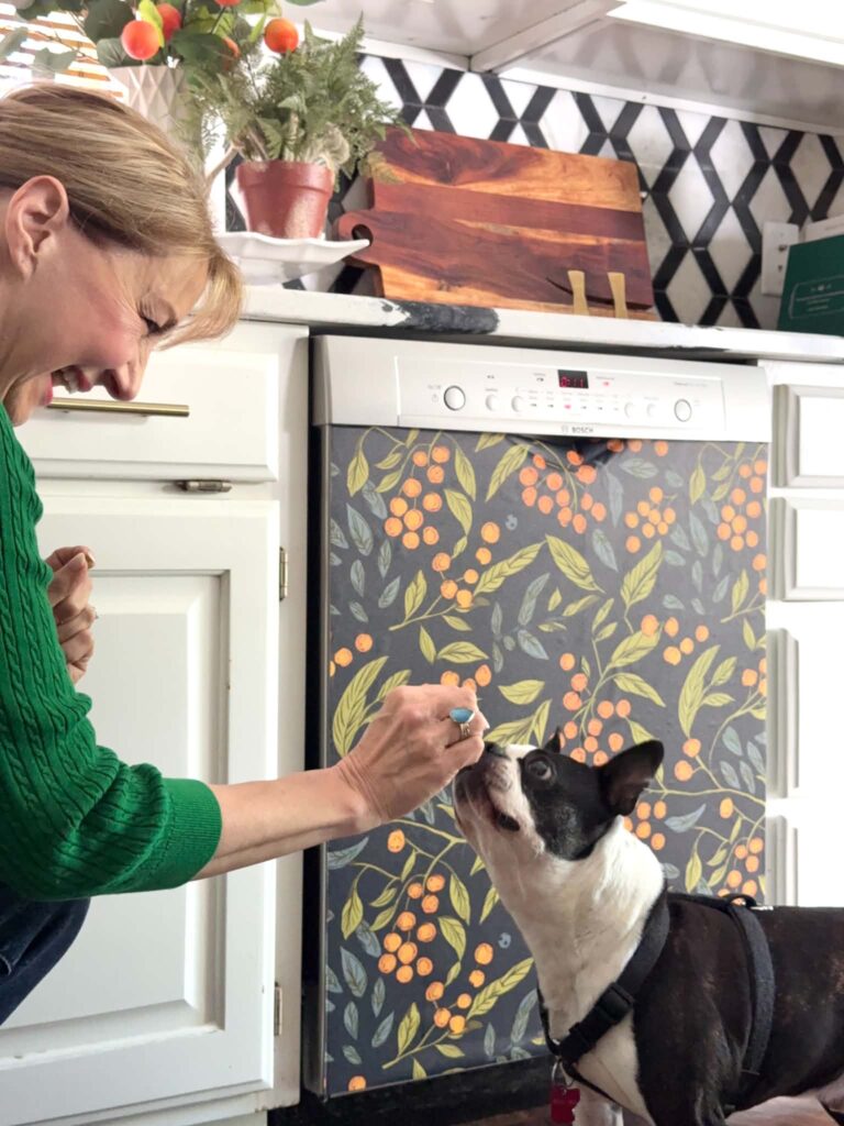 A woman feeding a dog a treat in front a  dishwasher that has been papered with peel and stick wallpaper.