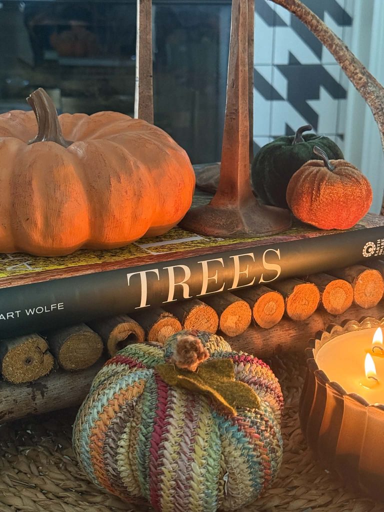 A book title "Trees' that served as the focal point of a tray decorated for fall.