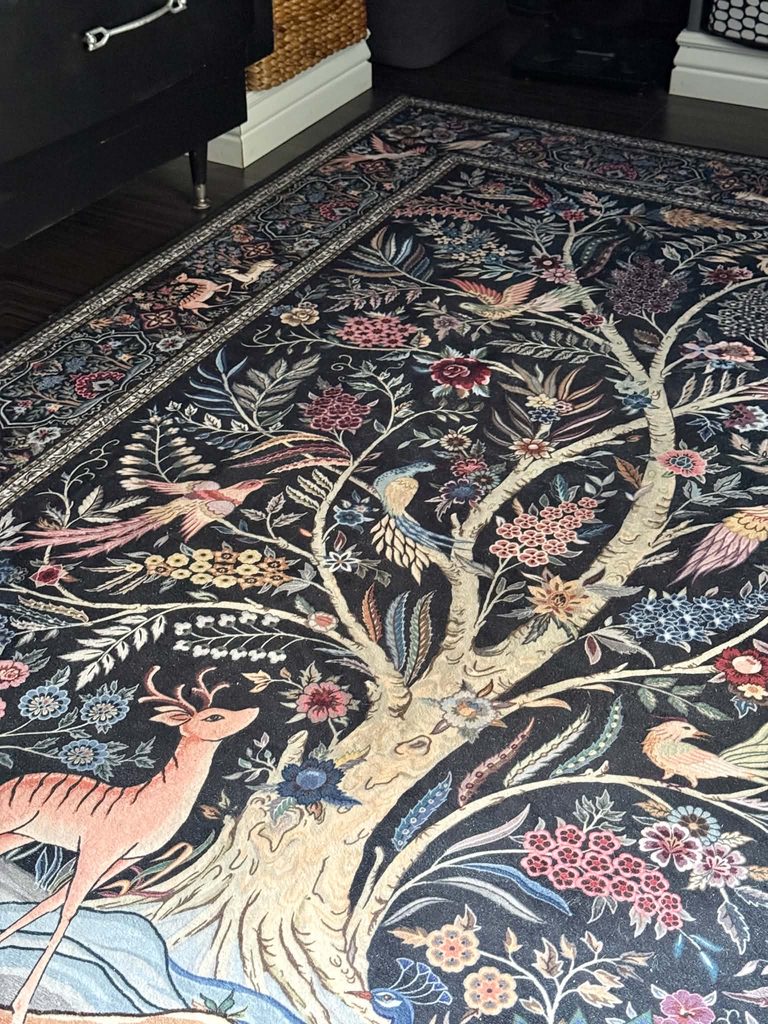 A fanciful rug decorating the floor of a small walk-in closet.