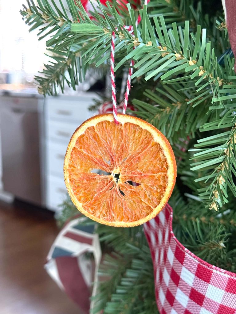A single dried orange slice hanging as an ornament on a Christmas tree.
