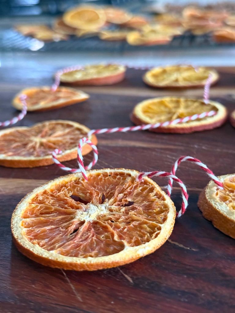 Dried orange slice garland.