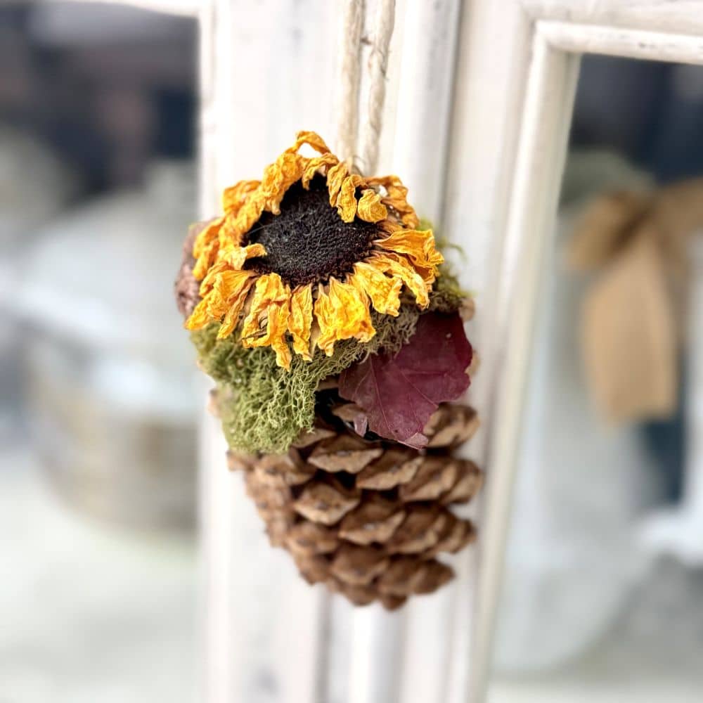 A pinecone topped with a sunflower.